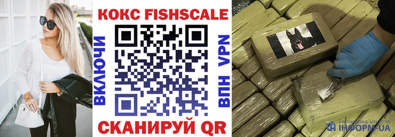 Cocaine Fish Scale  MEGA вход  Медногорск  цены наркотик 