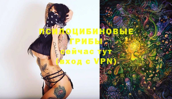 синтетический гашиш Богородск