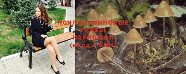 спайс Богородицк