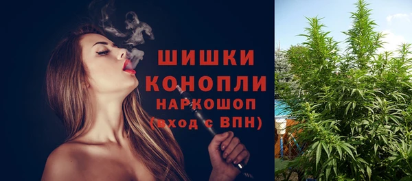 спайс Богородицк