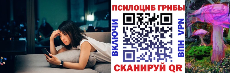 Галлюциногенные грибы прущие грибы кракен зеркало Медногорск как найти наркотики